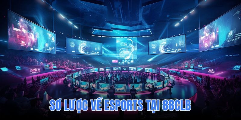 Esports đang là lĩnh vực thu hút đông đảo người chơi khắp thế giới